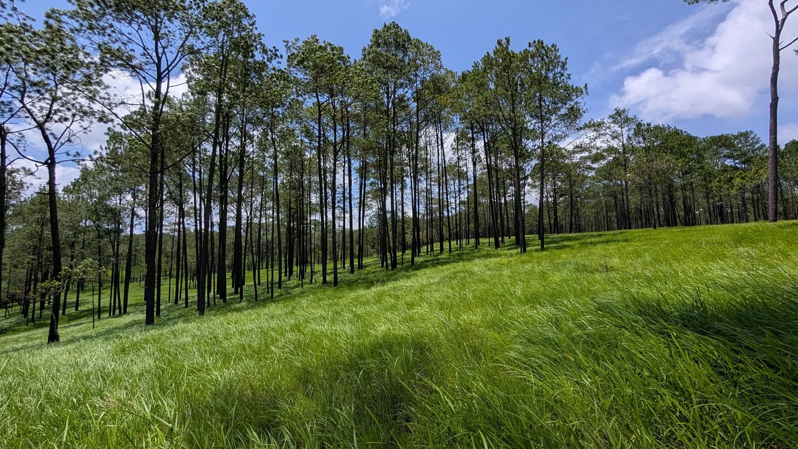 Kampong Speu & Kirirom